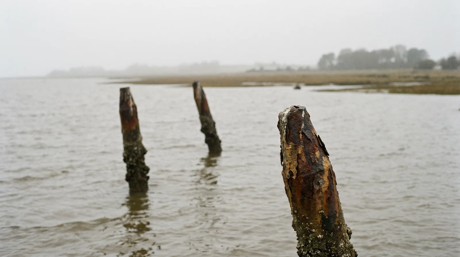 Verrostete Stahlteile eines gesunkenen Schiffes stehen aus trübem Mündungswasser, im Hintergrund verschwimmt eine flache Küste im Dunst.