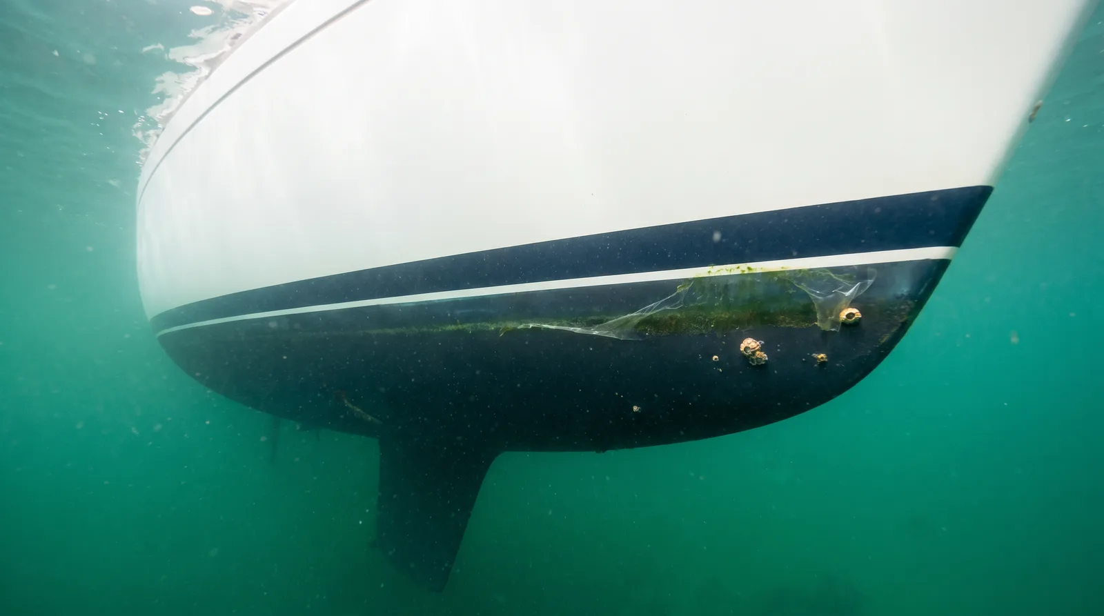 Blick unter Wasser auf den Rumpf einer gepflegten Segelyacht mit leichtem Bewuchs